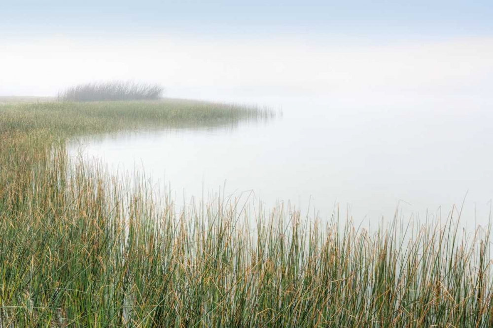 Crescent Beach Calm 2 art print by Alan Blaustein for $57.95 CAD