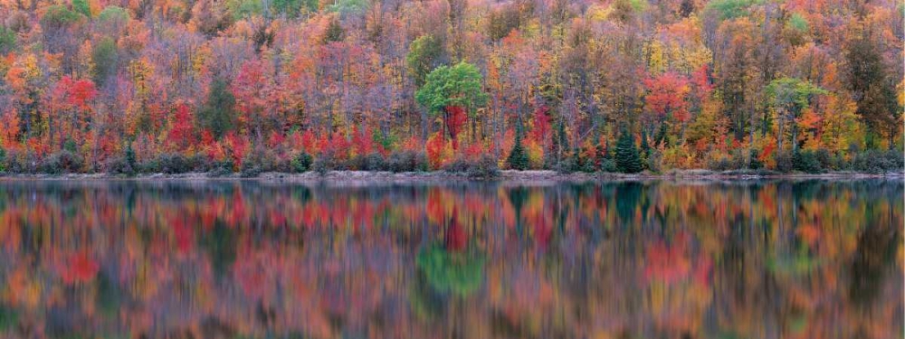 Upson Lake Reflection art print by Jim Becia for $57.95 CAD