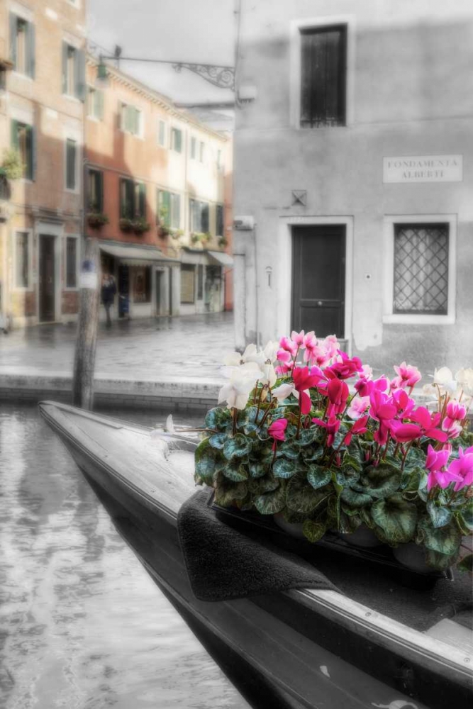 Canal Fiori #1 art print by Alan Blaustein for $57.95 CAD