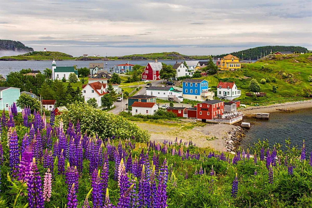Outport art print by Chuck Burdick for $57.95 CAD