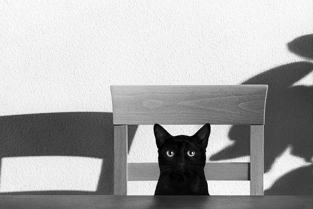 Where Is My Coffee? art print by Jon Bertelli for $57.95 CAD
