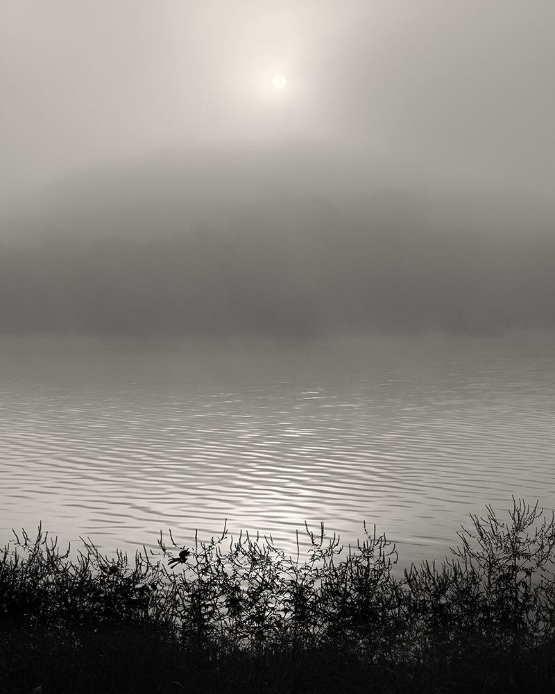 Monochrome Sunrise art print by Nicholas Bell for $57.95 CAD