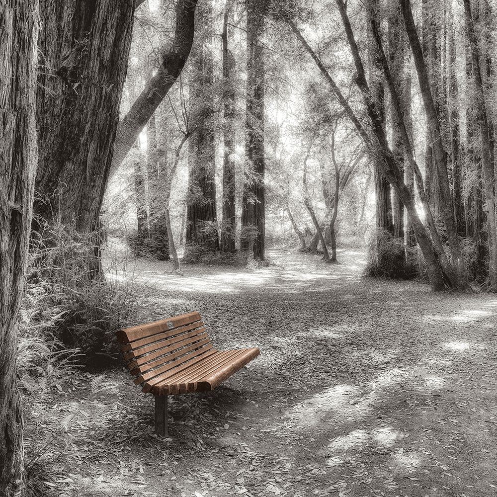 Old Mill Park art print by Alan Blaustein for $57.95 CAD