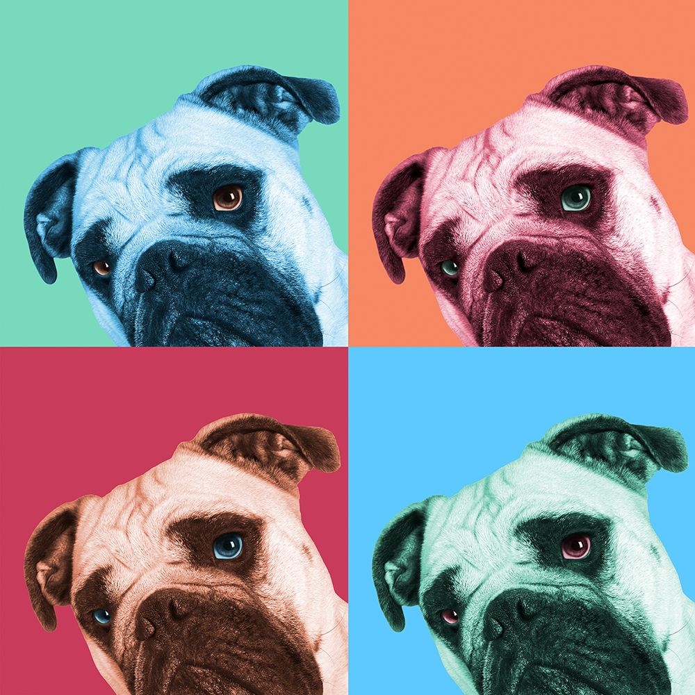 Que Pasa Pop art print by Jon Bertelli for $57.95 CAD