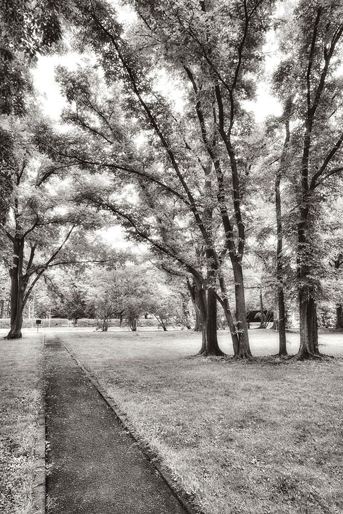 Garden Pathway No.1 art print by Alan Blaustein for $57.95 CAD