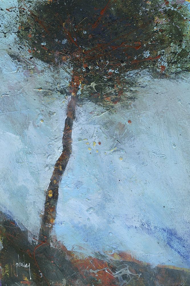 Lone Moorland Pine art print by Paul Bailey for $57.95 CAD
