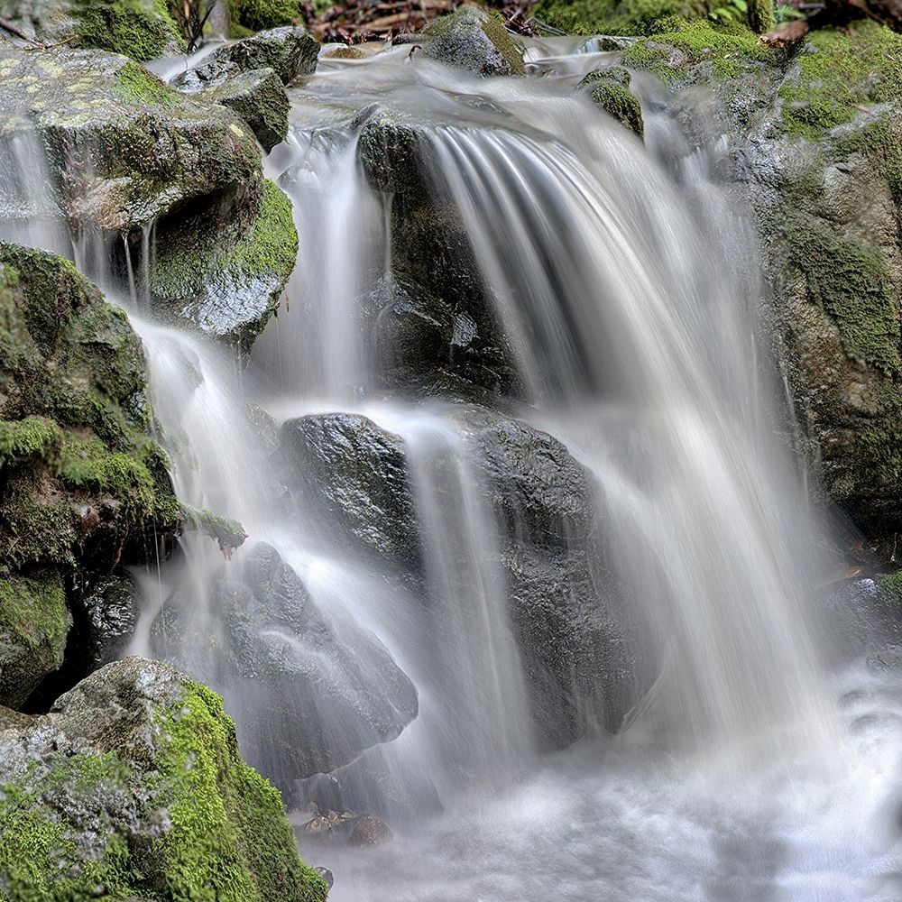 Canyon Fallls No. 5 art print by Alan Blaustein for $57.95 CAD