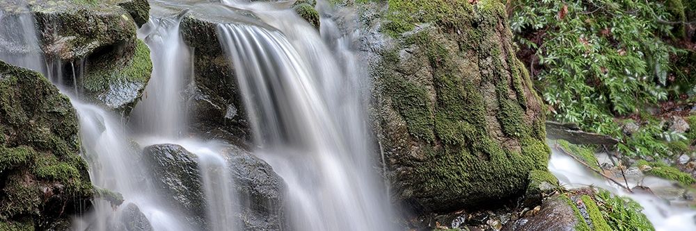 Canyon Falls No. 10 art print by Alan Blaustein for $57.95 CAD