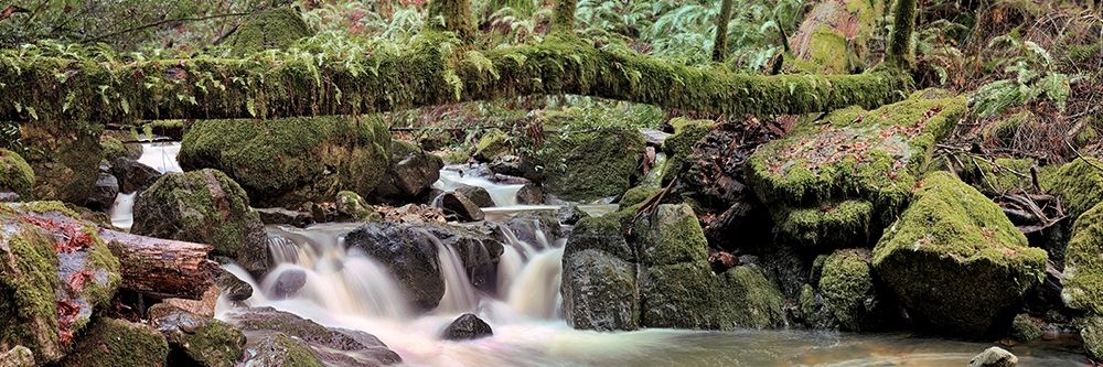 Canyon Falls No. 11 art print by Alan Blaustein for $57.95 CAD