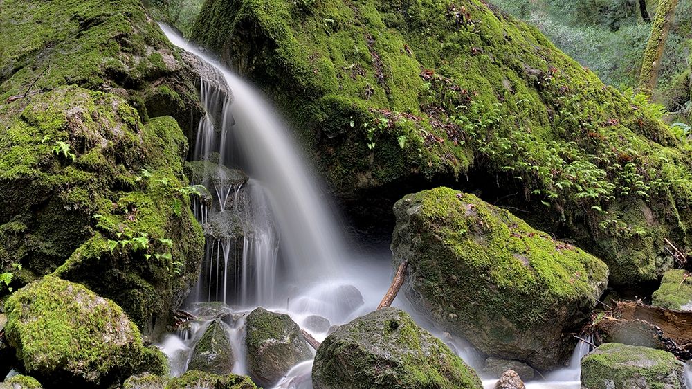 Canyon Falls No. 13 art print by Alan Blaustein for $57.95 CAD