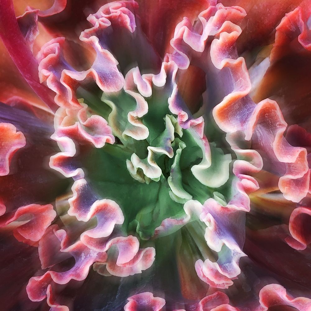 Rippled Edges art print by Jan Bell for $57.95 CAD