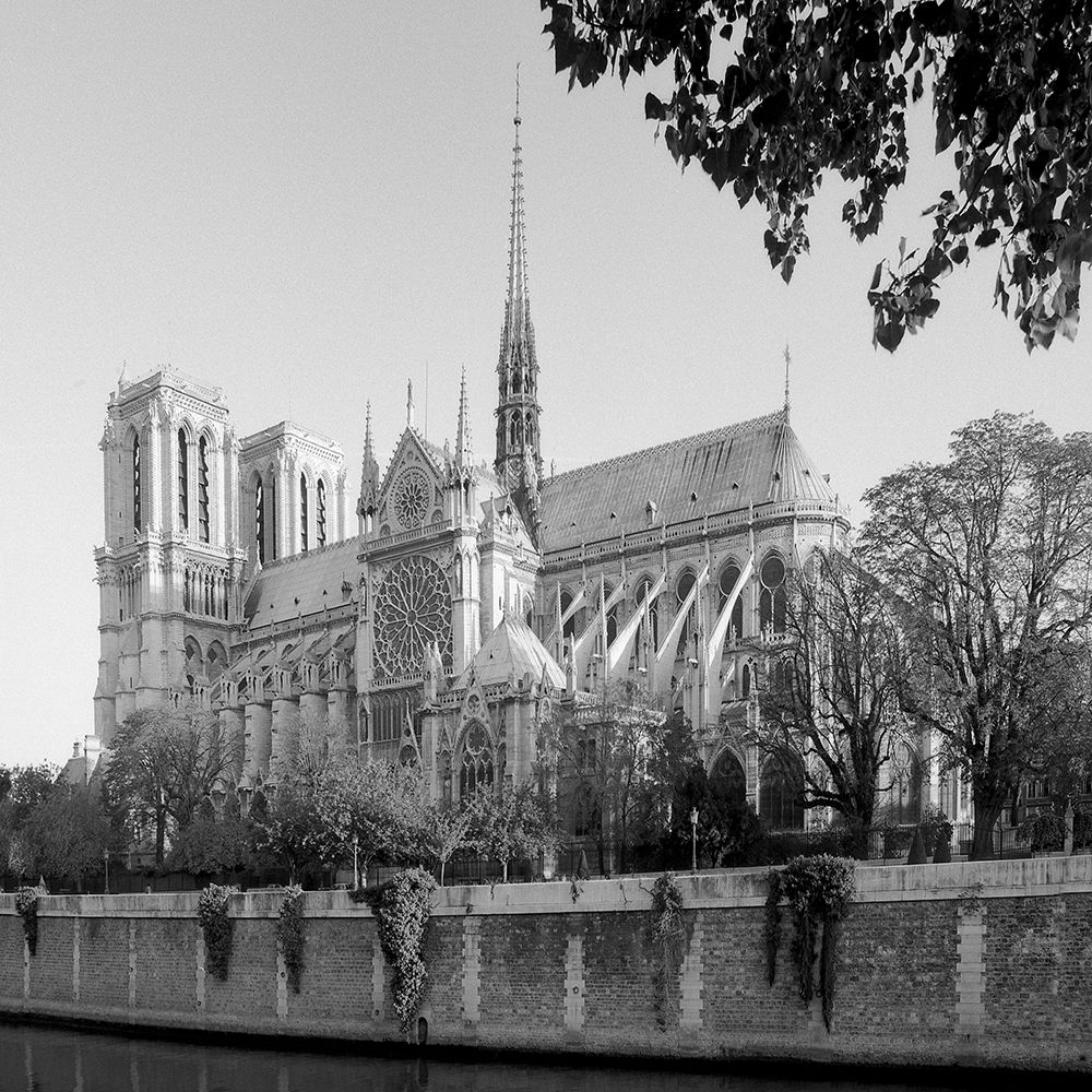 Our Lady of Paris art print by Alan Blaustein for $57.95 CAD