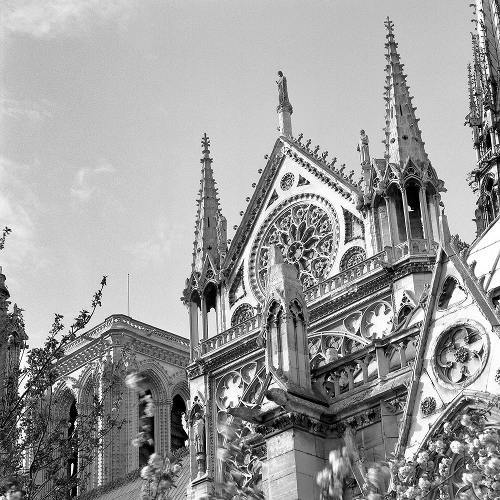 Shining Star of Paris - Notre Dame art print by Alan Blaustein for $57.95 CAD