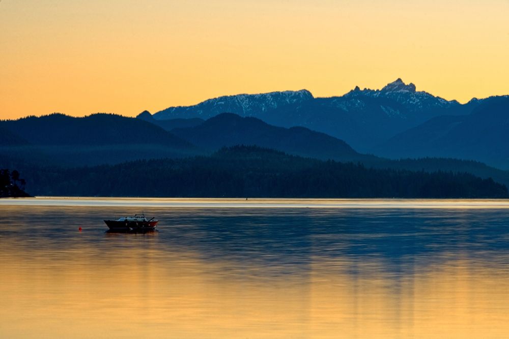 Golden Glow art print by Chuck Burdick for $57.95 CAD