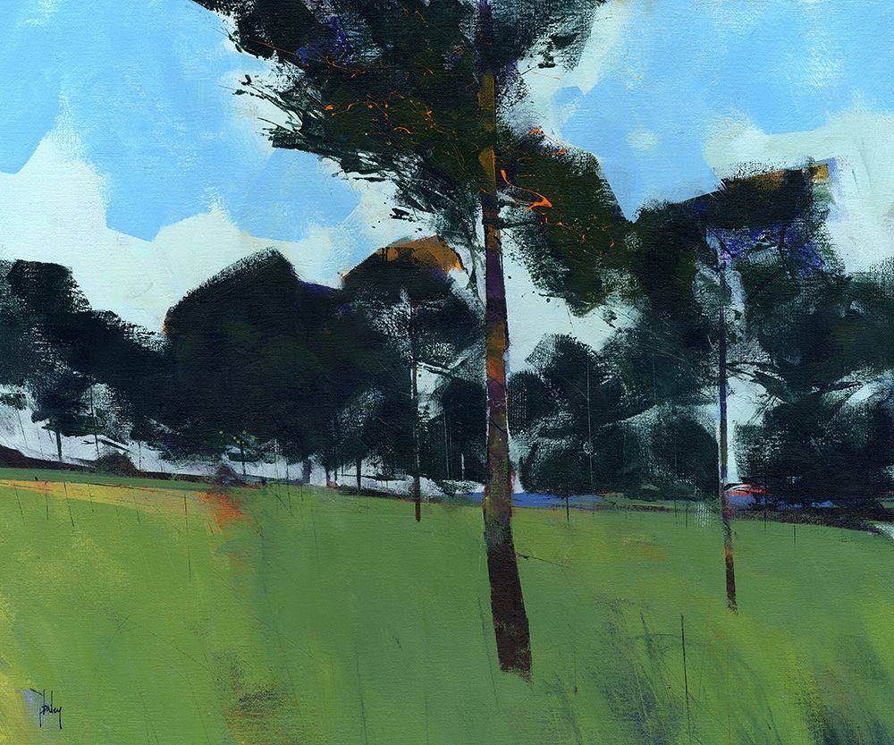 Moorland Pines art print by Paul Bailey for $57.95 CAD