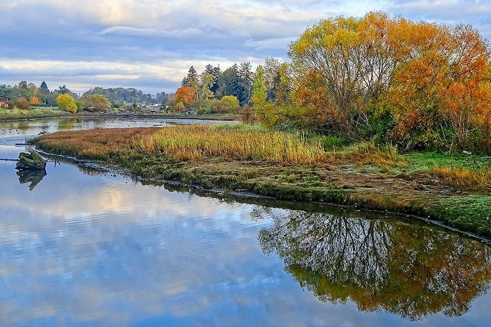 Estuary Autumn art print by Chuck Burdick for $57.95 CAD