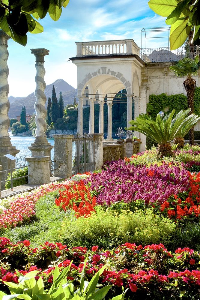 Giardino sul Lago #4 art print by Alan Blaustein for $57.95 CAD