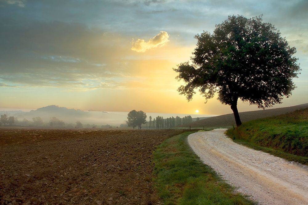 Tuscan Farm Road #1 art print by Alan Blaustein for $57.95 CAD