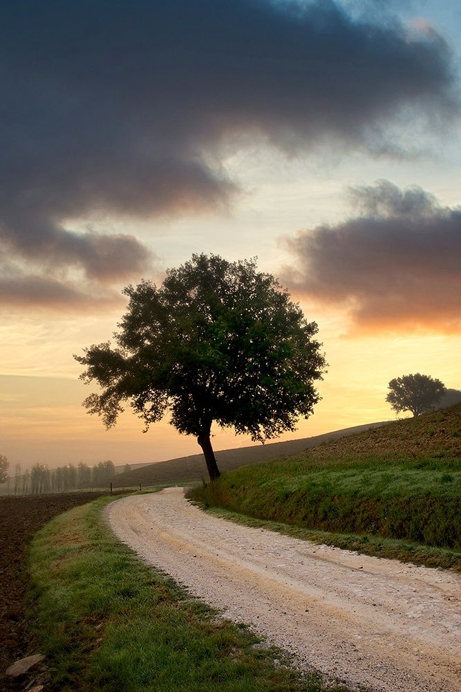 Tuscan Farm Road Sunrise #2 art print by Alan Blaustein for $57.95 CAD