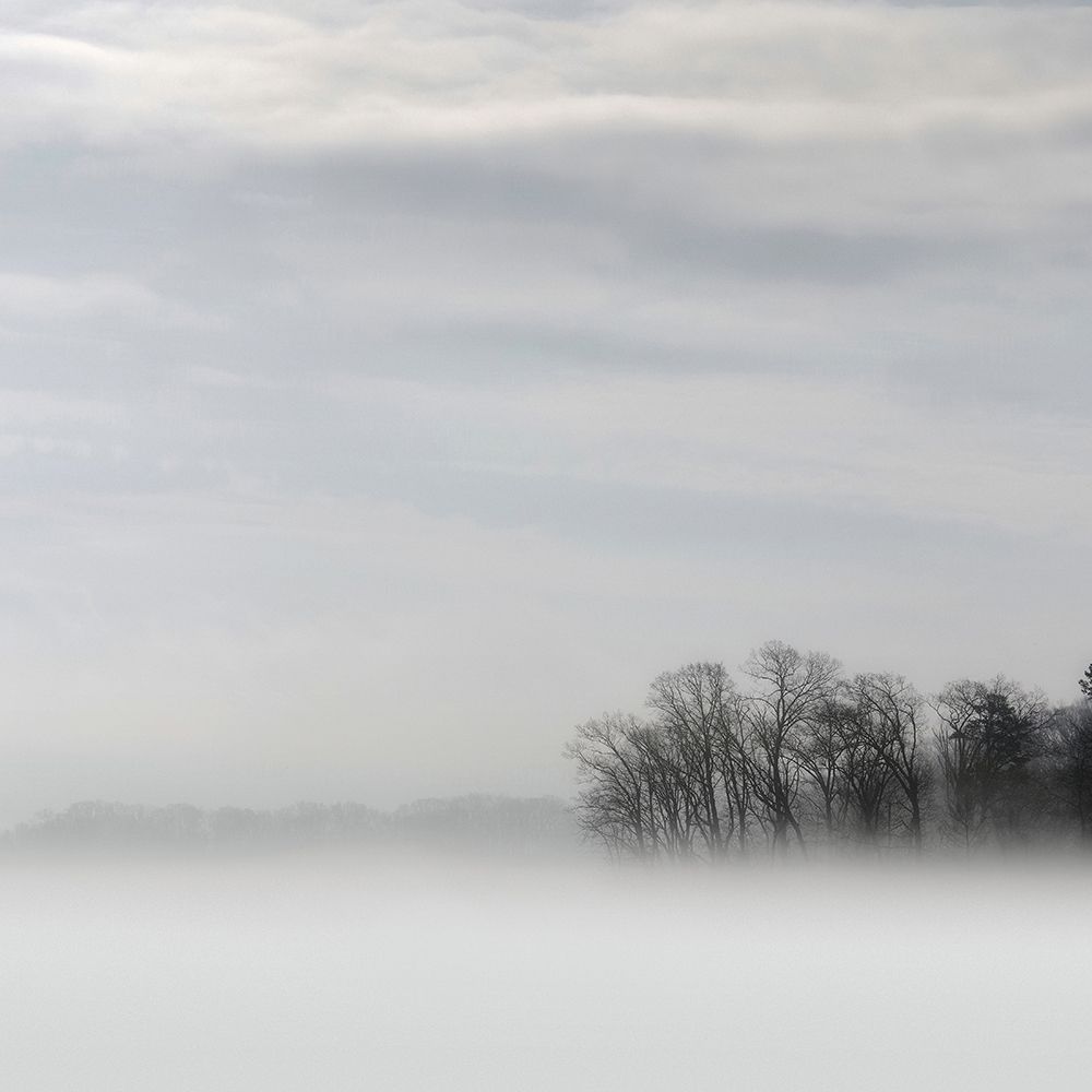 Lake of Fog art print by Nicholas Bell for $57.95 CAD