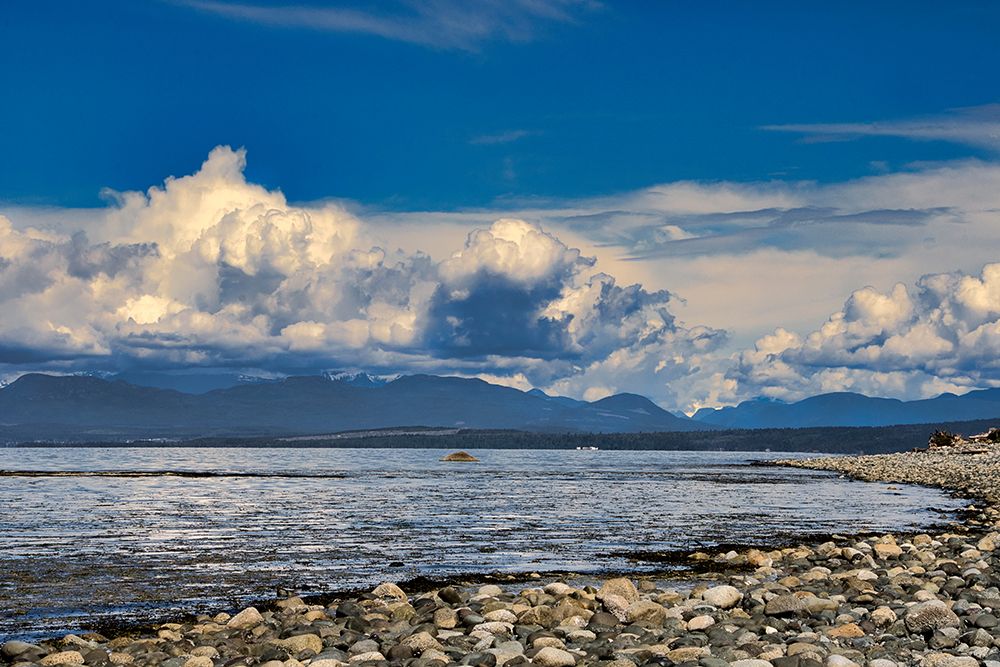 View From The Beach art print by Chuck Burdick for $57.95 CAD