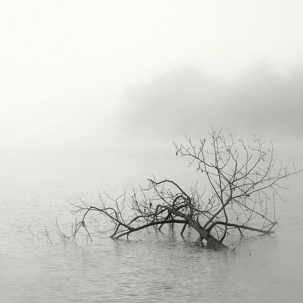 Zen Lake art print by Nicholas Bell for $57.95 CAD