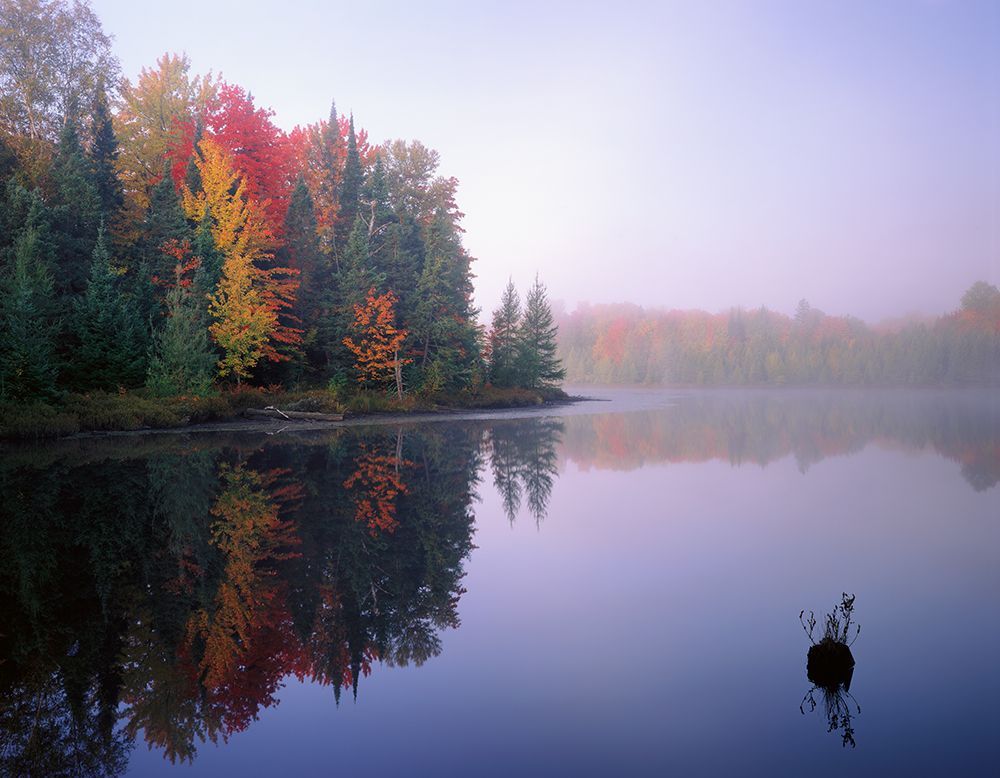 Foggy Morning Sunrise art print by Jim Becia for $57.95 CAD