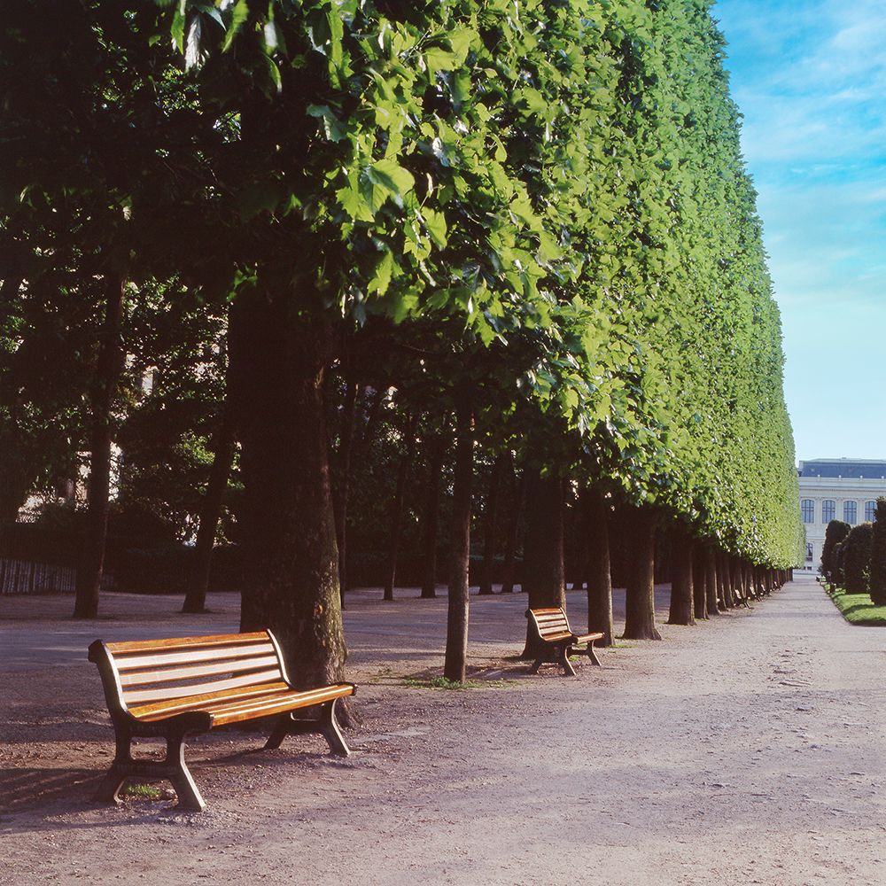 French Jardin No. 9 art print by Alan Blaustein for $57.95 CAD