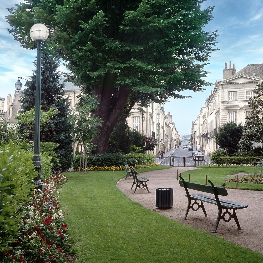 French Jardin No. 14 art print by Alan Blaustein for $57.95 CAD