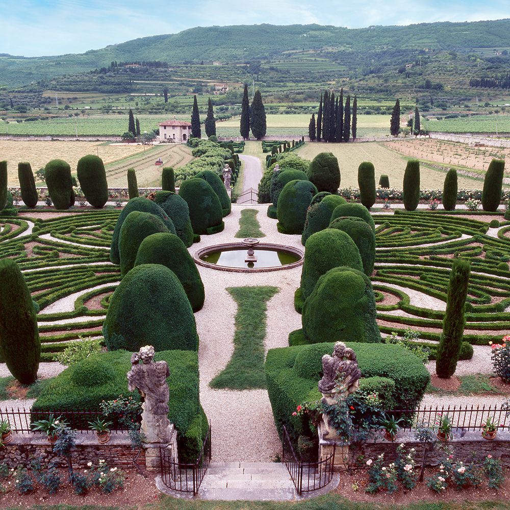 Italia Gardens No. 12 art print by Alan Blaustein for $57.95 CAD