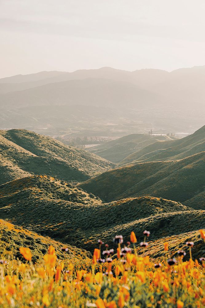 Palomar art print by Krista Broadway for $57.95 CAD
