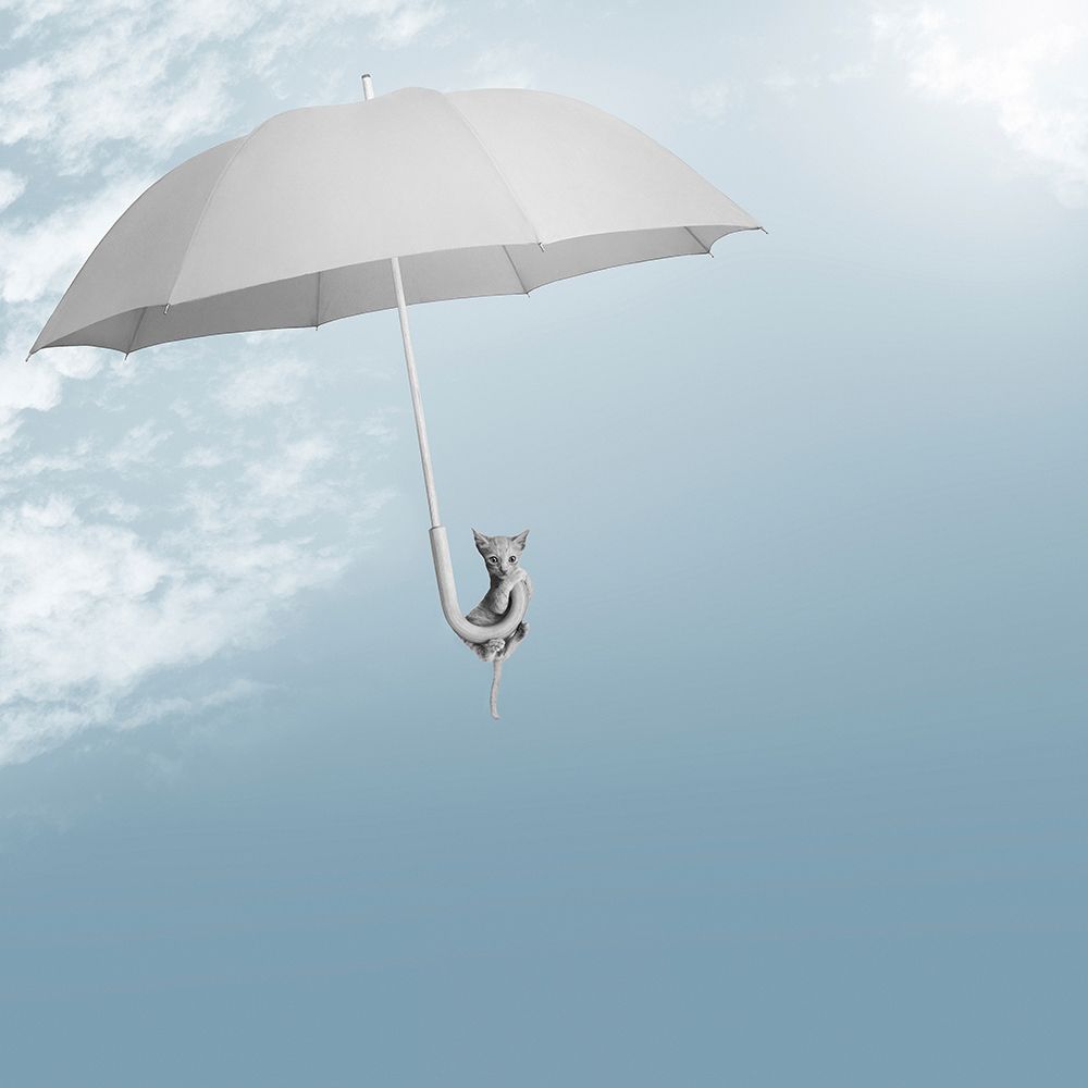 Riding The Skies art print by Jon Bertelli for $57.95 CAD