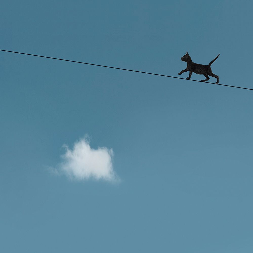 Walk The Line art print by Jon Bertelli for $57.95 CAD