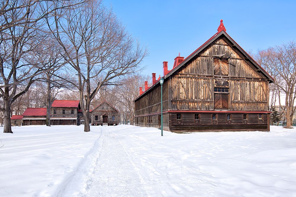 Hokkaido Landscape No.9 art print by Alan Blaustein for $57.95 CAD