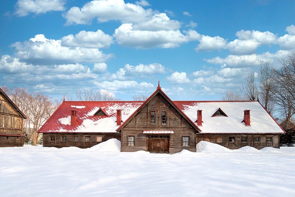 Hokkaido Landscape No.10 art print by Alan Blaustein for $57.95 CAD