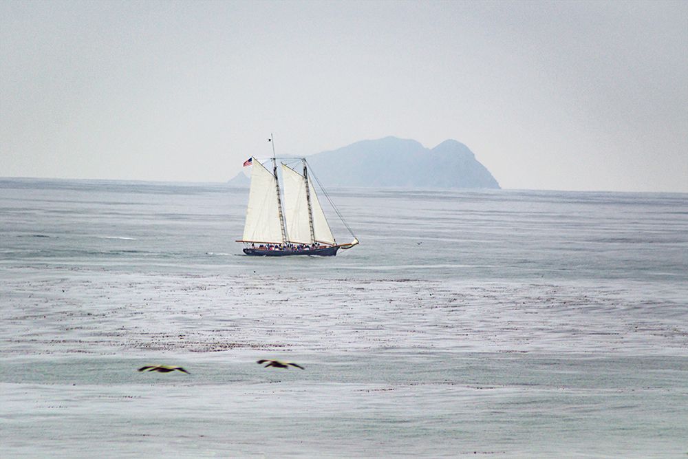 Pacific Ocean Seascape No. 2 art print by Murray Bolesta for $57.95 CAD