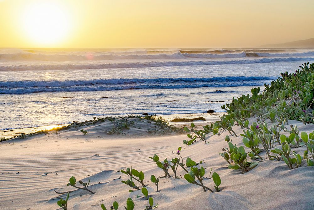 Pacific Ocean Seascape No. 5 art print by Murray Bolesta for $57.95 CAD