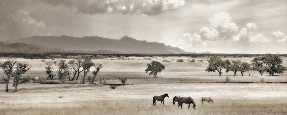 Ranchland 9 art print by Murray Bolesta for $57.95 CAD