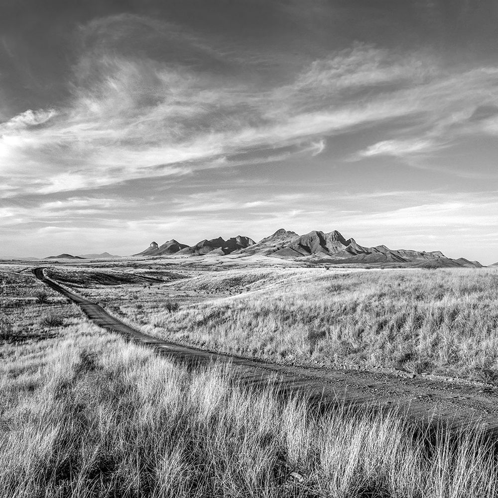 Vanishing Ranchlands No. 23 art print by Murray Bolesta for $57.95 CAD