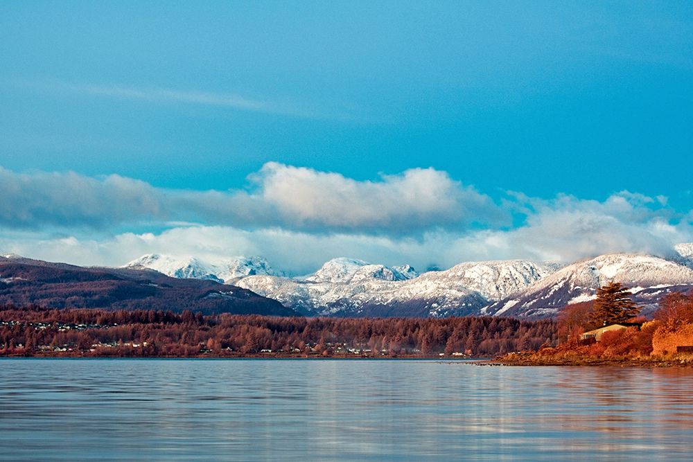Natures Frost art print by Chuck Burdick for $57.95 CAD