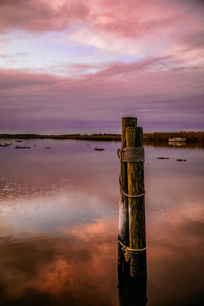 Pink Morning Mooring art print by Christy Berry for $57.95 CAD