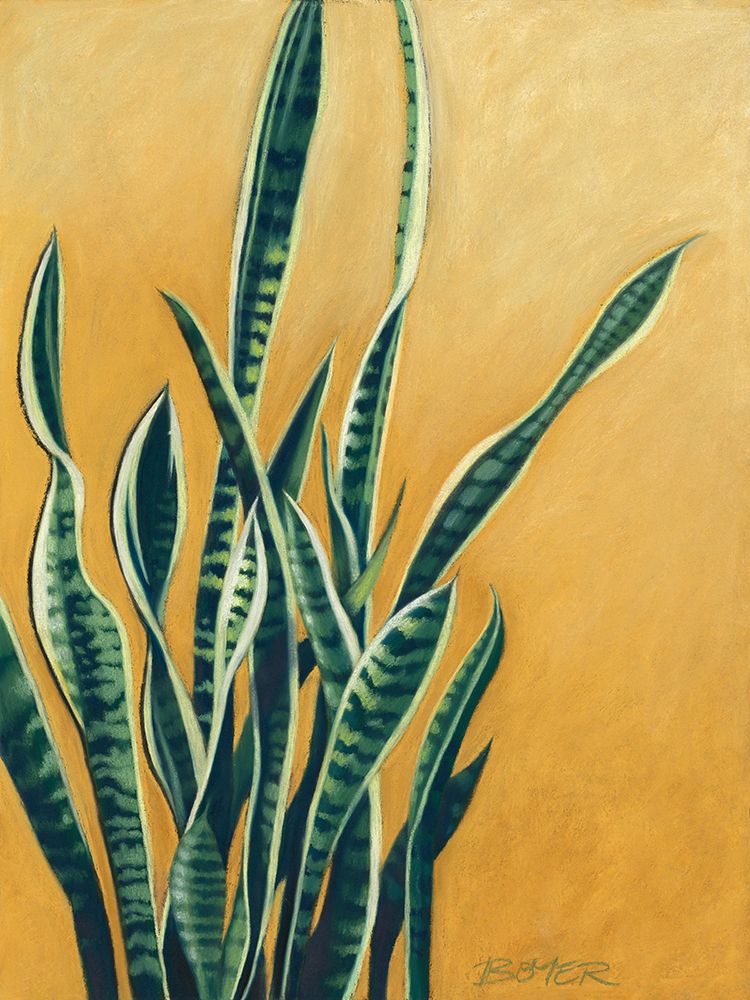 Tangled Sansevieria art print by Susy Boyer for $57.95 CAD