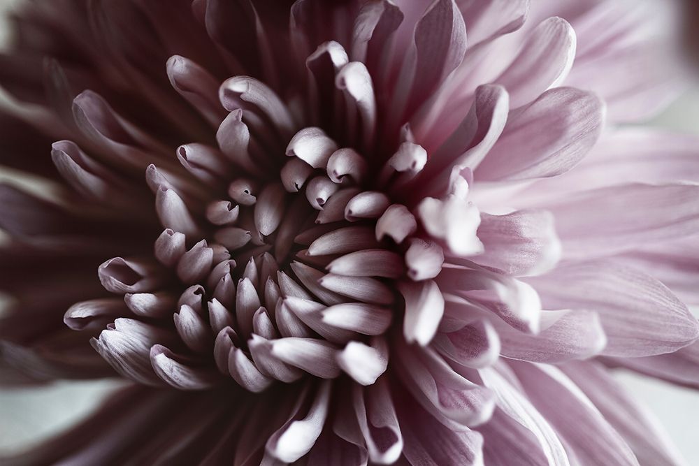 Light Poem 9 art print by Wendy Baker for $57.95 CAD