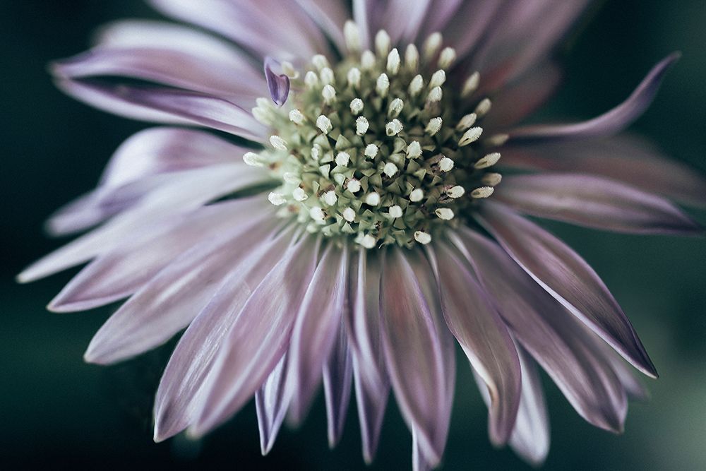 Light Poem 12 art print by Wendy Baker for $57.95 CAD