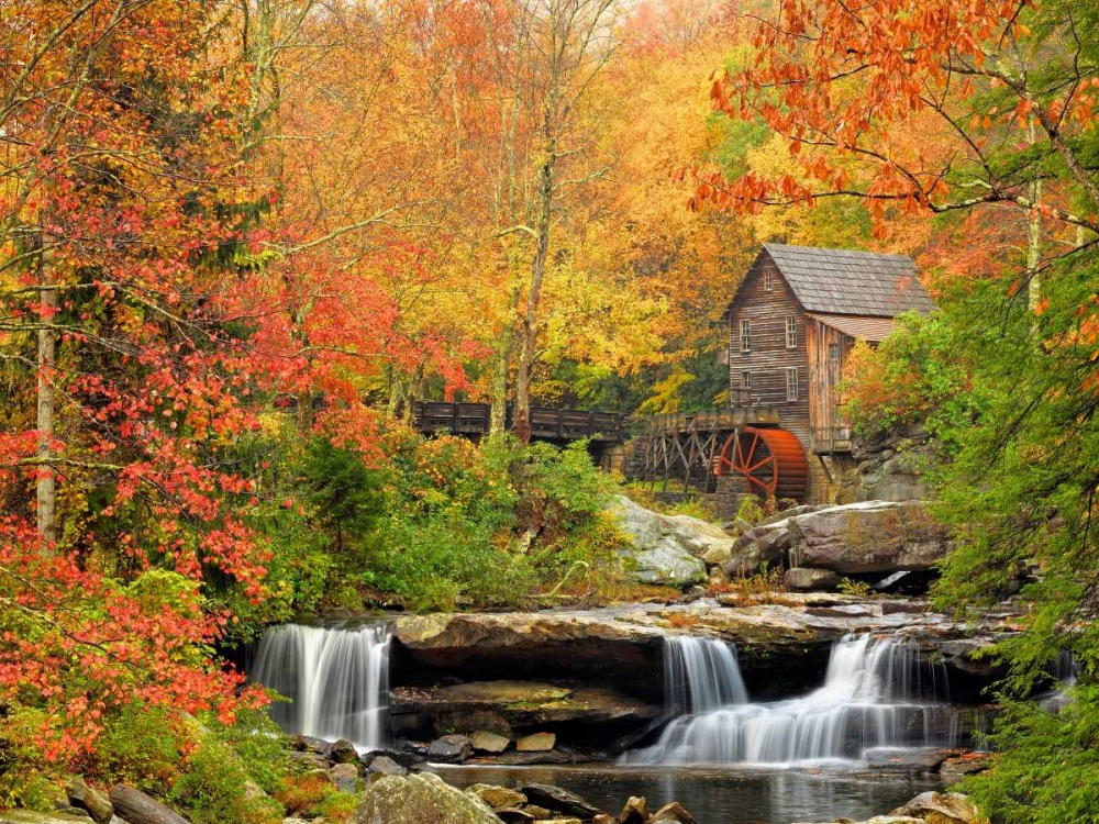 Autumn Splendor art print by Elizabeth Carmel for $57.95 CAD