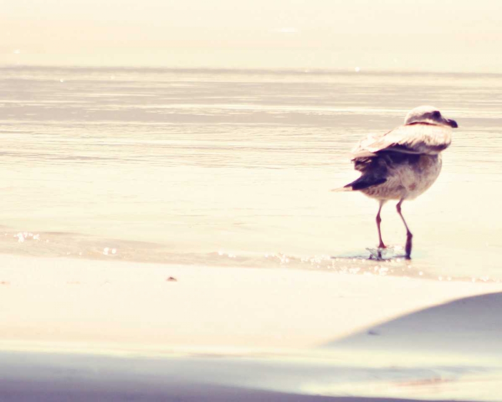 Bird at The Beach art print by Sylvia Coomes for $57.95 CAD