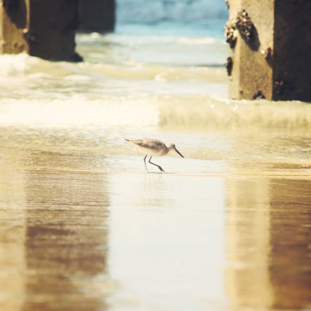 Walking on The Beach art print by Sylvia Coomes for $57.95 CAD