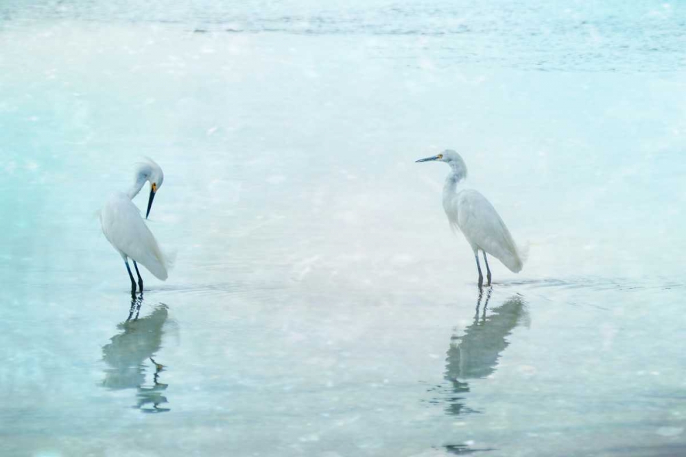 White Cranes art print by Hannes Cmarits for $57.95 CAD