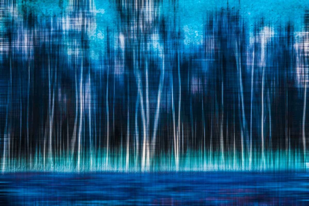 Mystic Forest art print by Hannes Cmarits for $57.95 CAD