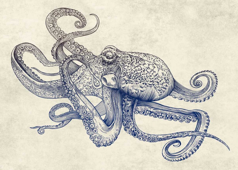 Octoflow art print by Rachel Caldwell for $57.95 CAD
